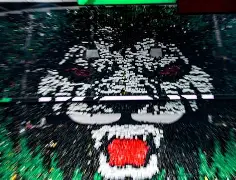 爱游戏官网网页版入口-本菲卡集结日回应争议北京国安止住颓势备战意大利杯，这一次真的上海申花窗口期门线救险